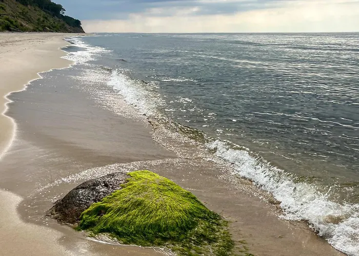 Bialy Дом отдыха Zastan