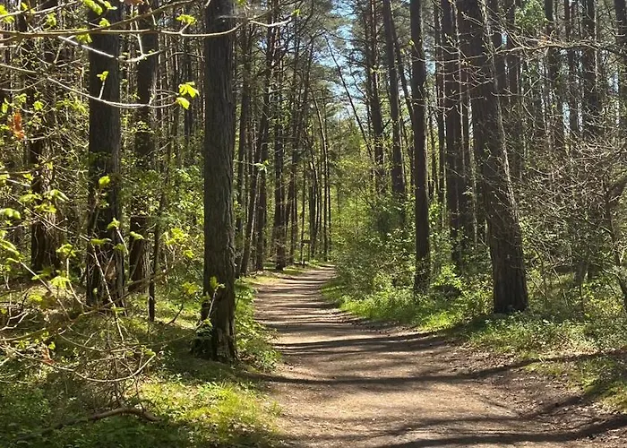 Bialy Дом отдыха *