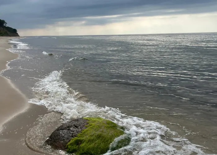 Bialy Дом отдыха Zastan